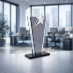 YILDIZLI-KRISTAL-PLAKET-215