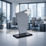 YILDIZLI-KRISTAL-PLAKET-242