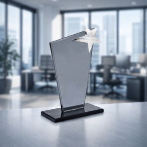 YILDIZLI-KRISTAL-PLAKET-242