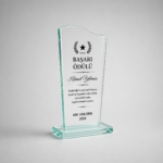 KRISTAL-PLAKET-K-244