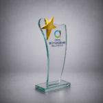 YILDIZLI-KRISTAL-PLAKET-254