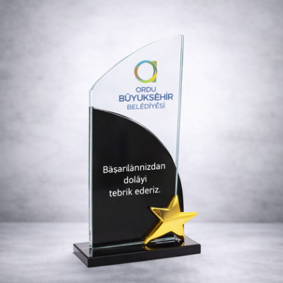 YILDIZLI-KRISTAL-PLAKET-259