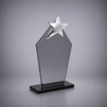 YILDIZLI-KRISTAL-PLAKET-291