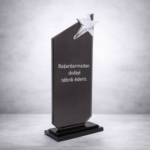 YILDIZLI-KRISTAL-PLAKET-297