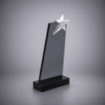 YILDIZLI-KRISTAL-PLAKET-303