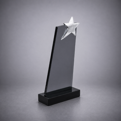 YILDIZLI-KRISTAL-PLAKET-303